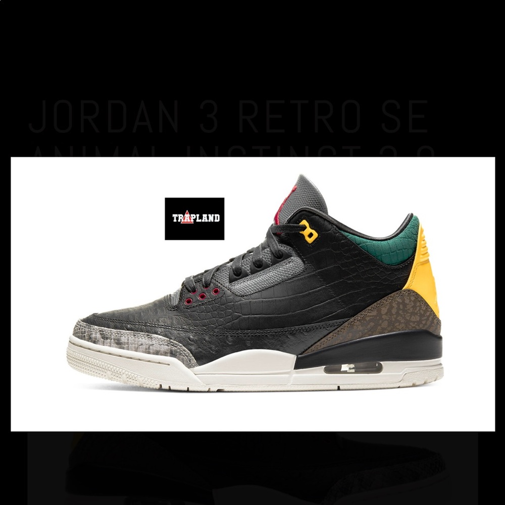 JORDAN 3 RETRO SE ANIMAL INSTINCT 2.0